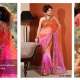 Bollywood Schauspieler Stars Saree(Sari)